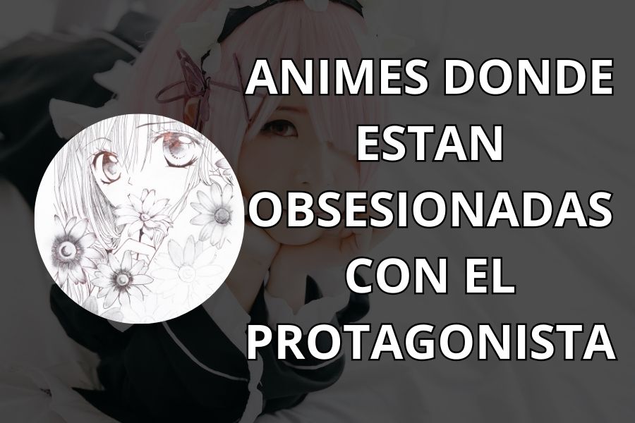 animes donde estan obsesionadas con el protagonista