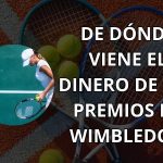 ᐈ Dinero de los Premios Wimbledon➡️de donde [ 2024 ]